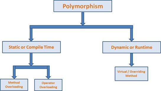 PolyMorphism 