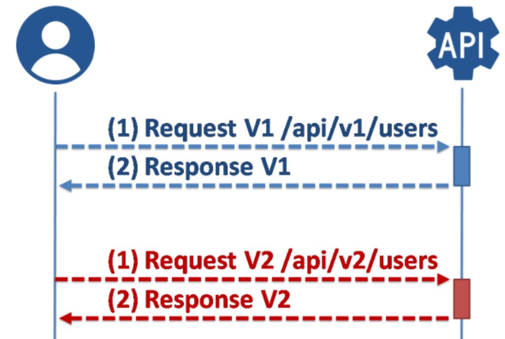 Versioning in .NetCore